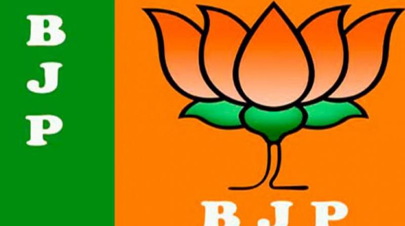 BJP to hold \Vijay Sankalp\ rallies in all 25 LS seats in Rajasthan