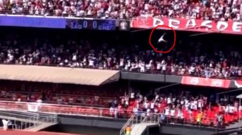 Football fan falls from stadiumâ€™s top stand, survives: video