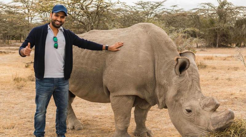 Rohit Sharma bats for conservation of rhinos