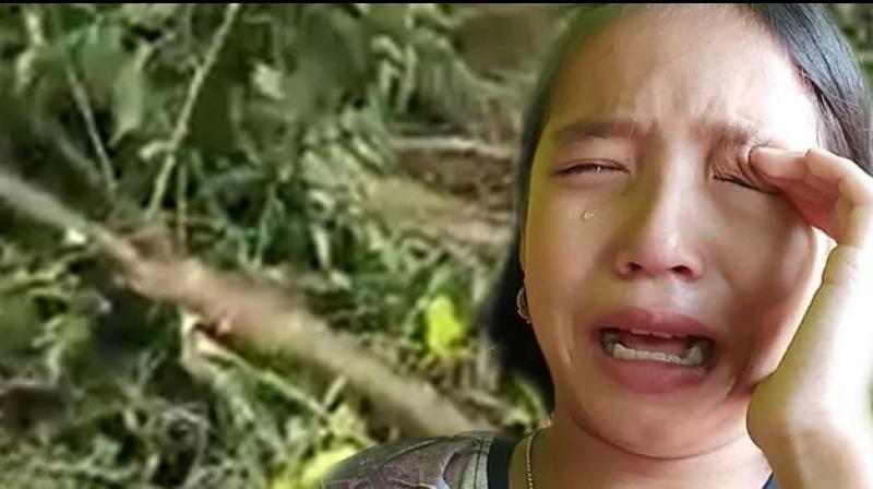 9-yr-old girl who cried over trees being cut down is now Manipur green ambassador