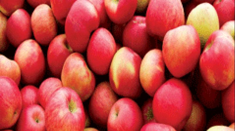 Apple buyers shifted to safer locations in Kashmir Valley