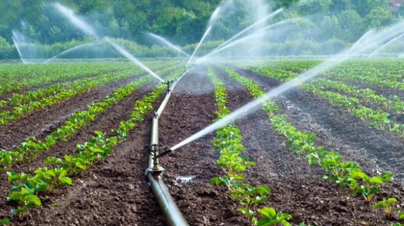 The water woes of city would be addressed when the Purushothapatnam lift irrigation scheme on the Godavari, which recently got administrative proposals, is complete. (Representational image)