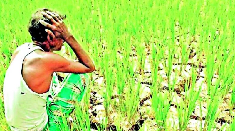 Vijayawada: Farmers give vegetables for plastic bags