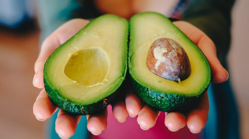 Avocado helps in dietary changes for obese people