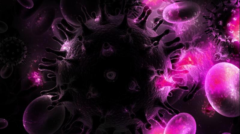 Scientists find antibody that blocks B cells from fighting HIV. (Photo: Pixabay)