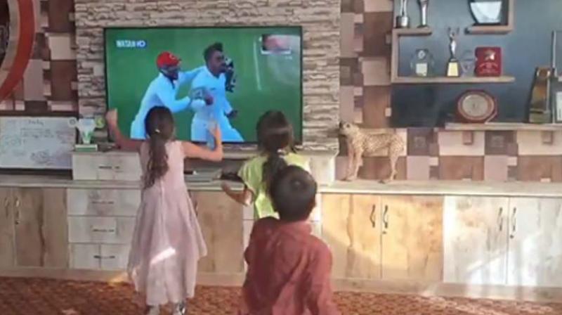 Afghan kids dance after team wins vs Bangladesh, video goes viral; watch