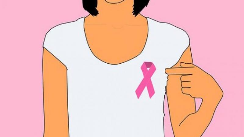 Researchers link higher BMI to lower breast cancer risk before menopause. (Photo: Pixabay)