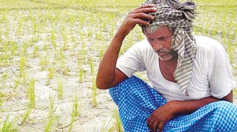 At least 70 farmers end lives in two months in Seema region alone