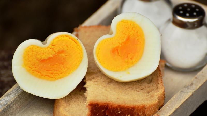 Why consuming eggs is beneficial for weight loss