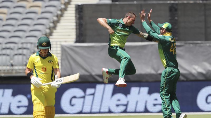 Dale Steyn backing South Africa to win the World Cup