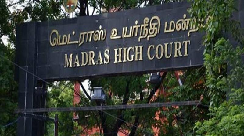 MHC comes down heavily on TN state government on water scarcity in Chennai