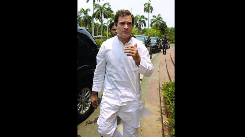 BJP Government cannot build anything: Rahul Gandhi