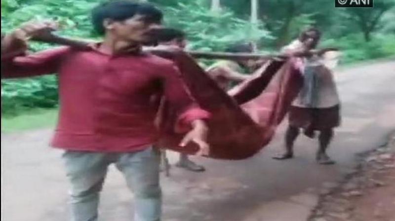 Govt hospital in Odisha denies transportation, family carries body on a sling