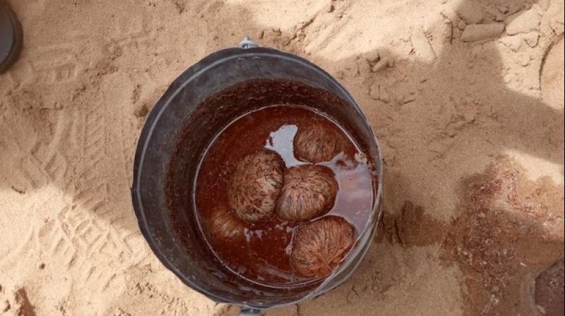 More than dozen crude bombs kept in two buckets buried inside ground were found here in Jammala Madugu town on Tuesday. (Photo: ANI)