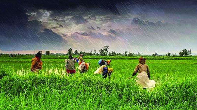Good rains for next 2 weeks to speed up sowing, cover deficit