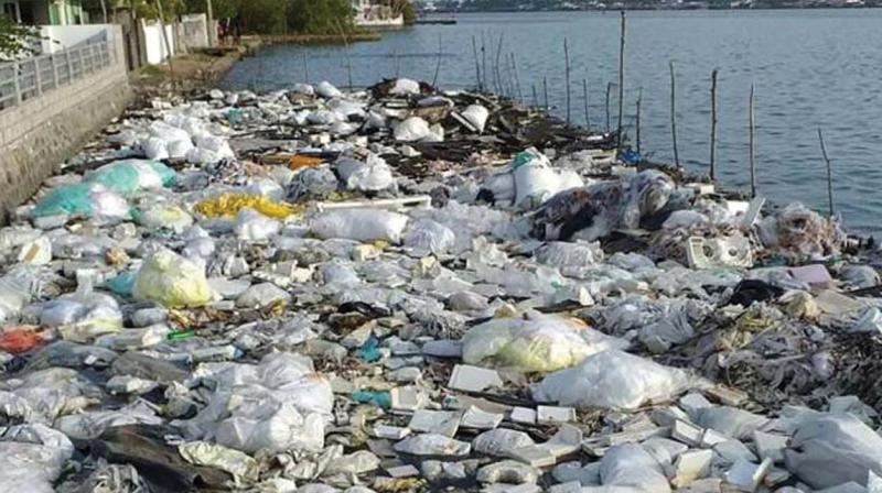 Alappuzha: Shut sewage plant increases pollution in Vembanad lake