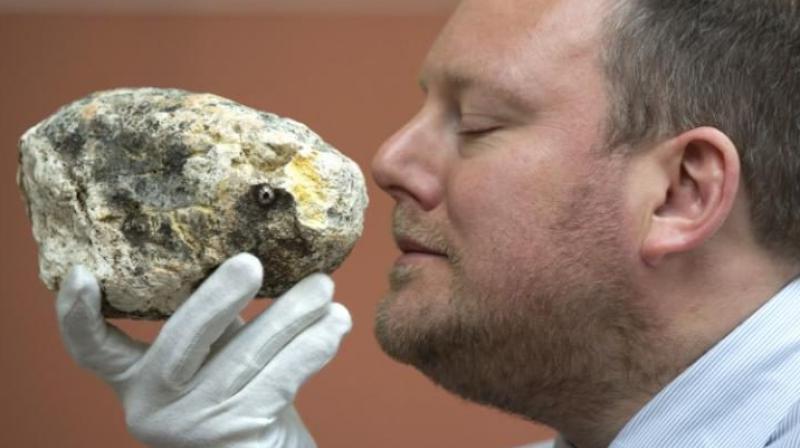 Whale vomit can be found floating in tropical seas and is used in manufacture of perfume. (Photo: AP)