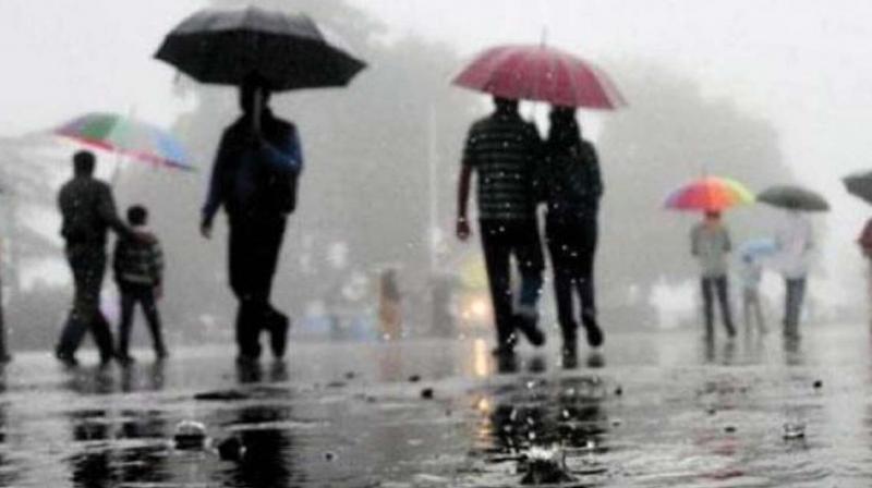 Kochi: El Nino blows over, hope rises for rain