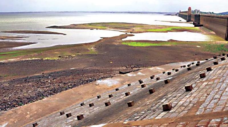Water has hit the dead storage level in the Tungabhadra reservoir at Hosapete in Ballari district
