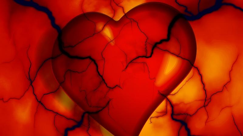 New therapy can regenerate heart cells after attack