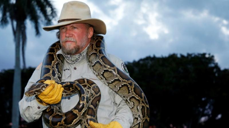 Passionate python rescuer: Meet Tom Rahill
