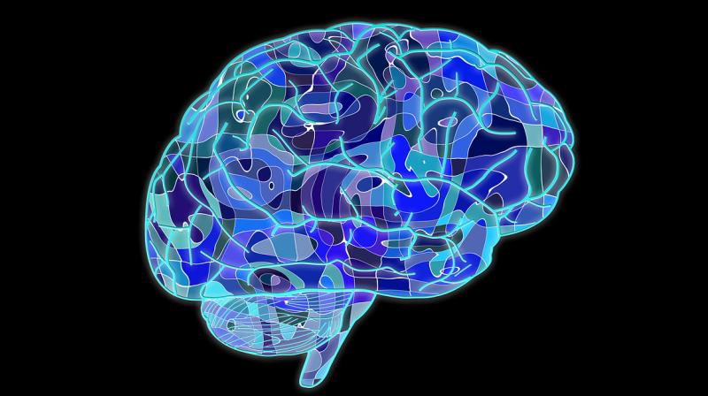 Novel technology can decode moods from human brain signals. (Photo: Pixabay)