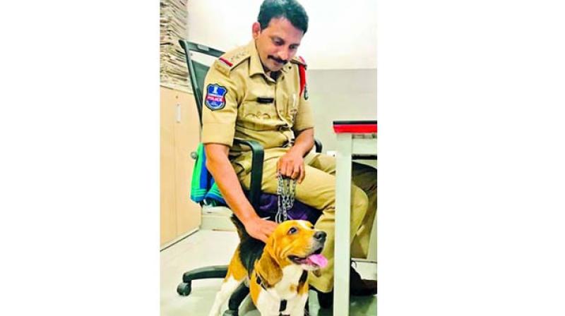 Hyderabad: Cops set up 9-man team for pet