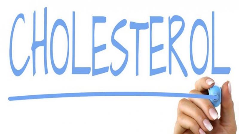 White meat has great impact on cholesterol level