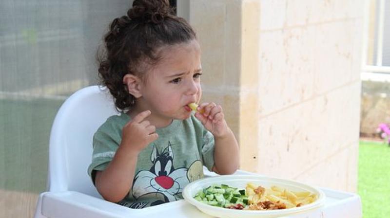 Diet can affect your childâ€™s brain performance