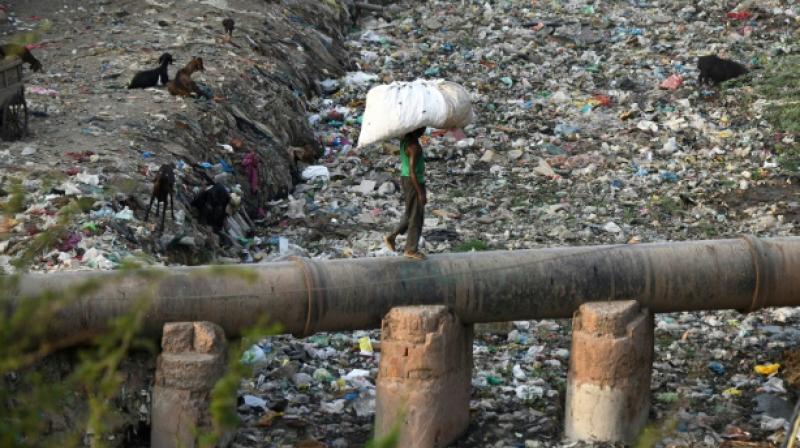Not only are plastics polluting our oceans and waterways and killing marine life, its in all of us. (Photo: AFP