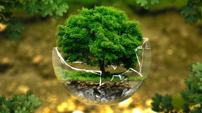 Climate Psychology: A psychotherapeutic approach to save Earth