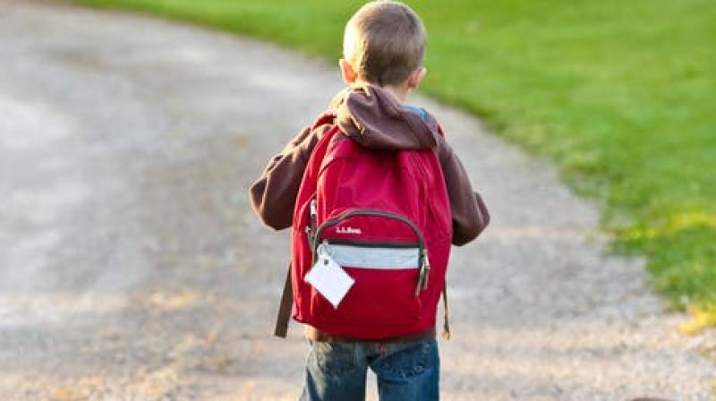 The study corroborates that schoolchildren who use backpacks should avoid carrying loads greater than 10 per cent of their body weight. (Photo: Representational/Pexels)