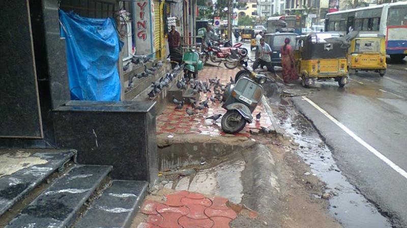 Govt admits it is worst encroacher of footpaths