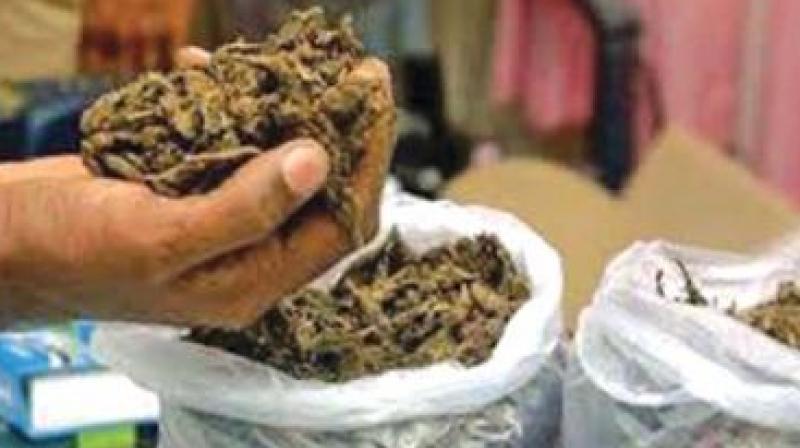 Based on credible information, the police rushed to the spot and found him selling ganja near Bamboo Bazar.  (Representational Image)