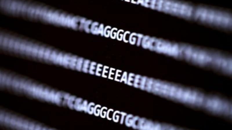 This data file tells researchers what sequence their DNA had as well as the quality of the read (with E higher quality than A). The team demonstrated that it is possible to place malicious code in a strand of DNA that, when sequenced, could attack the software used for analysis. (Image: Dennis Wise/University of Washington)