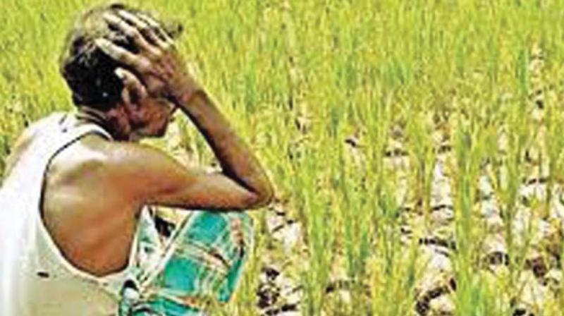 The moratorium was declared in August last after the deluge and after a number of farmers committed suicides.