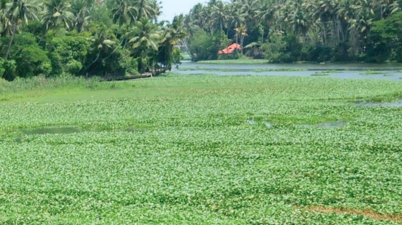 Thiruvananthapuram: Lack of fund delays lake survey