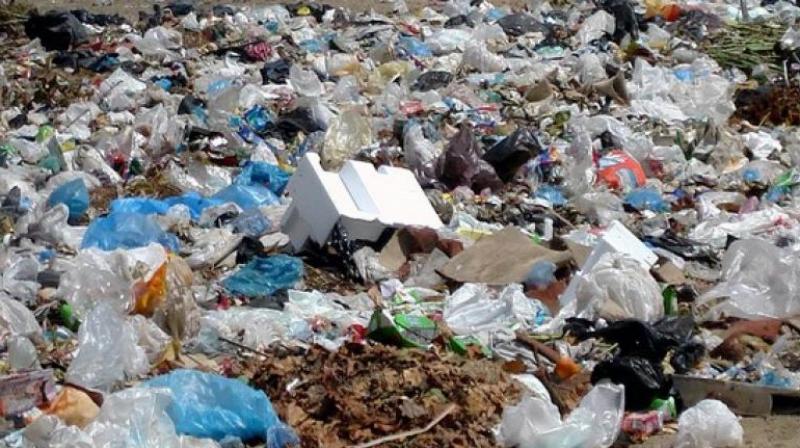 Hyderabad: Plastic ban talk fizzles out