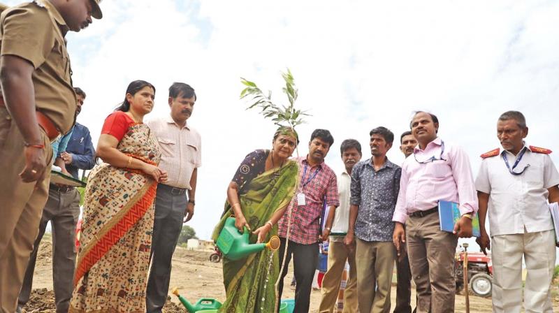 Chennai: Central team visits Pallikaranai marshland