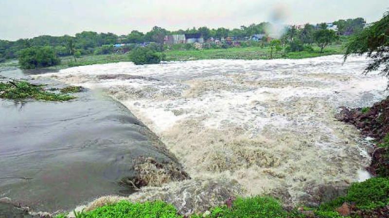 Godavari water rises again