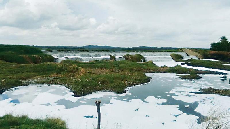 The citizens group, United Bengaluru, which is at the forefront of fight against deterioration of citys lakes, visited the two water bodies on Saturday, and met local residents and government officials.The residents said that froth can be seen in Byramangala reservoir and it could be the next Bellandur Lake.