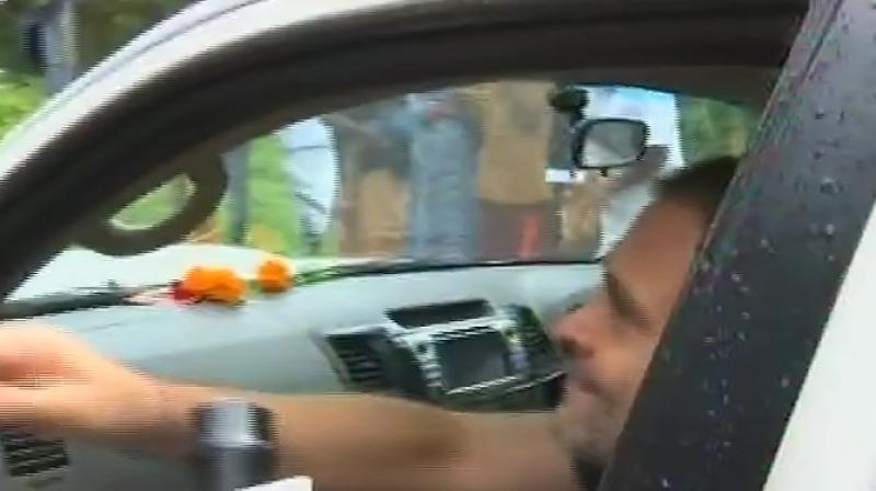 Watch: Man kisses Rahul Gandhi during Wayanad visit