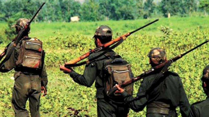 Two Maoists were killed in an encounter. (Photo: File)