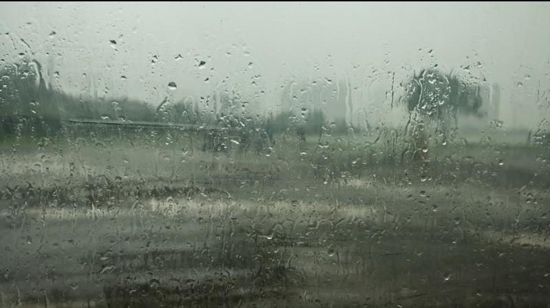 Kerala: Rain lashes parts of Kozhikode