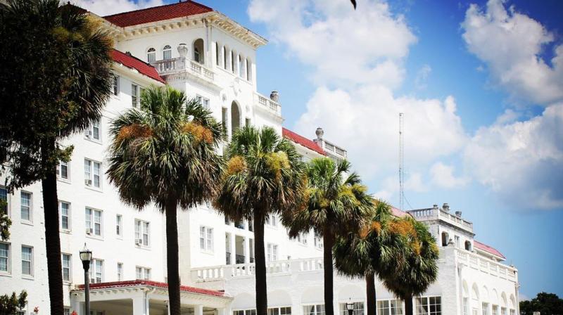 Fatal disease threatens Floridaâ€™s iconic palm trees