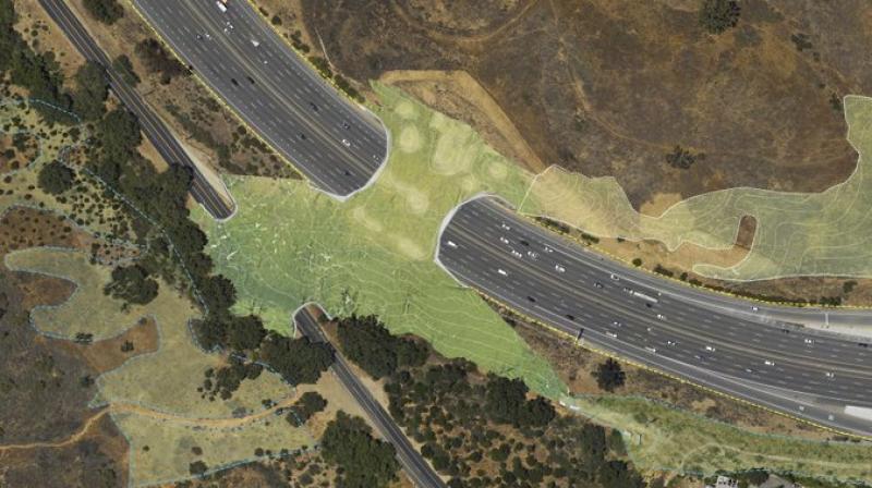 California to build wildlife crossing over major highway