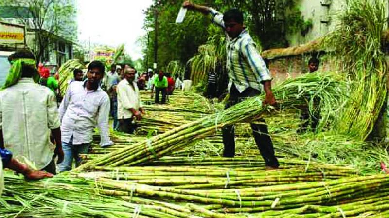 Sugar subsidy, export target pegged higher