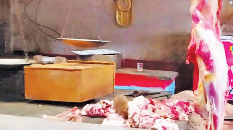 Coonoor: Public fumes as rodents, dogs invade beef outlets
