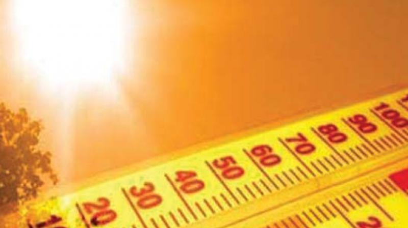 Vijayawada: Fluctuating temperatures affect health