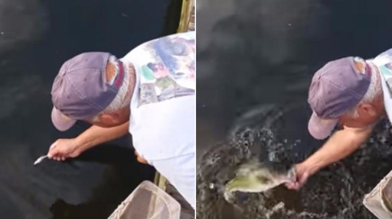 Robert directly baits the fish by using smaller fish as their feed and when they come to the surface he grabs them with his bare hands. (Photo: Youtube)